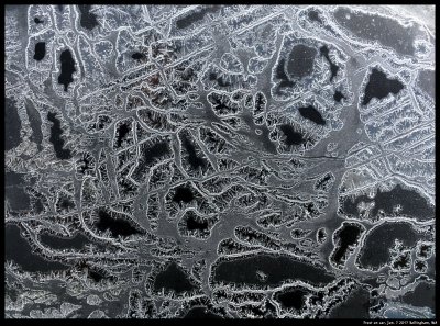More frost patterns on black cars